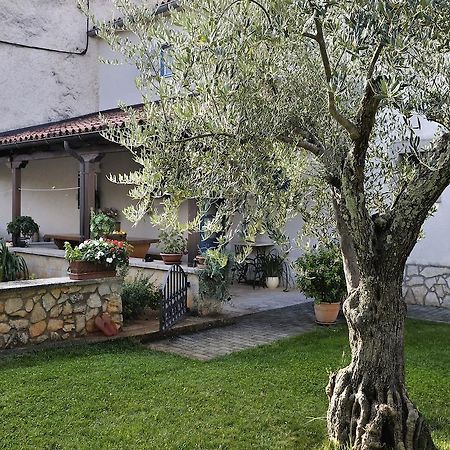 Apartment Vita Poreč Extérieur photo